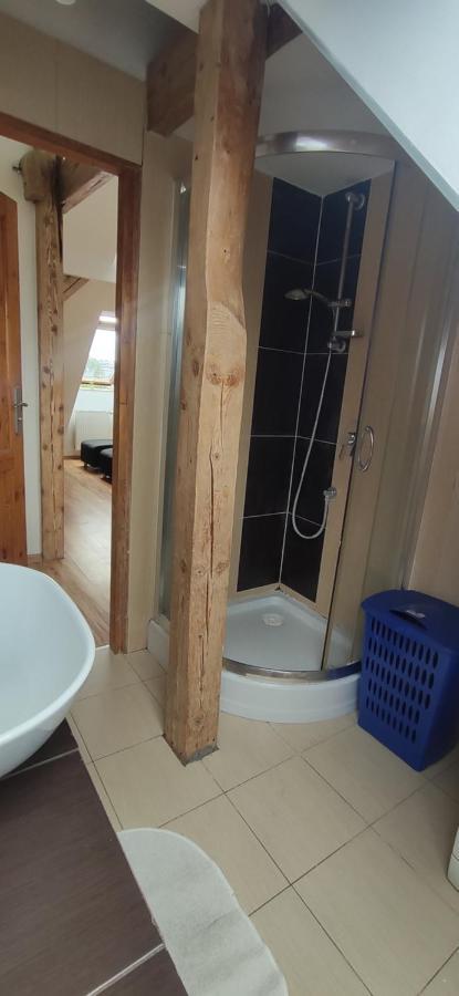 Apartament Gliwice Centrum Esterno foto